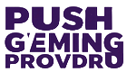 Push Gaming Logo Spielanbieter